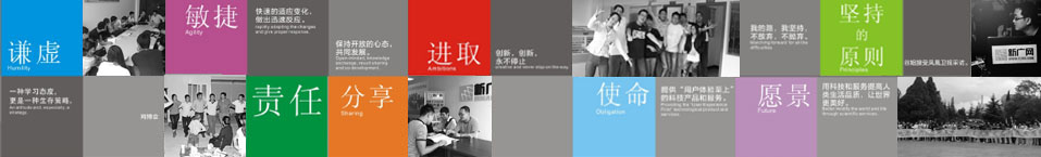 新广网