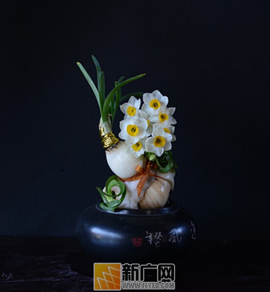 2015年建水朱家花园“春节”活动 2015年建水朱家花园“春节”活动