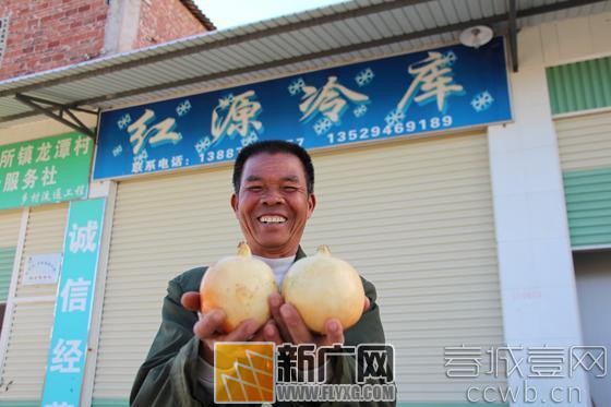 红河石榴双生花一甜一酸竞芳华