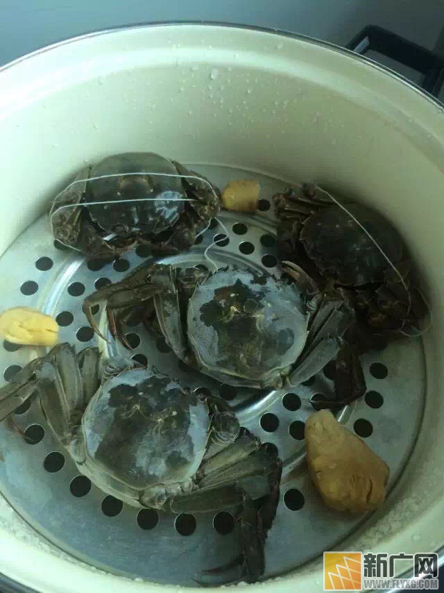 吃了这么多年的大闸蟹,你吃对了吗? 吃了这么多年的大闸蟹,你吃对了吗?