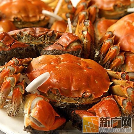 吃了这么多年的大闸蟹,你吃对了吗? 吃了这么多年的大闸蟹,你吃对了吗?