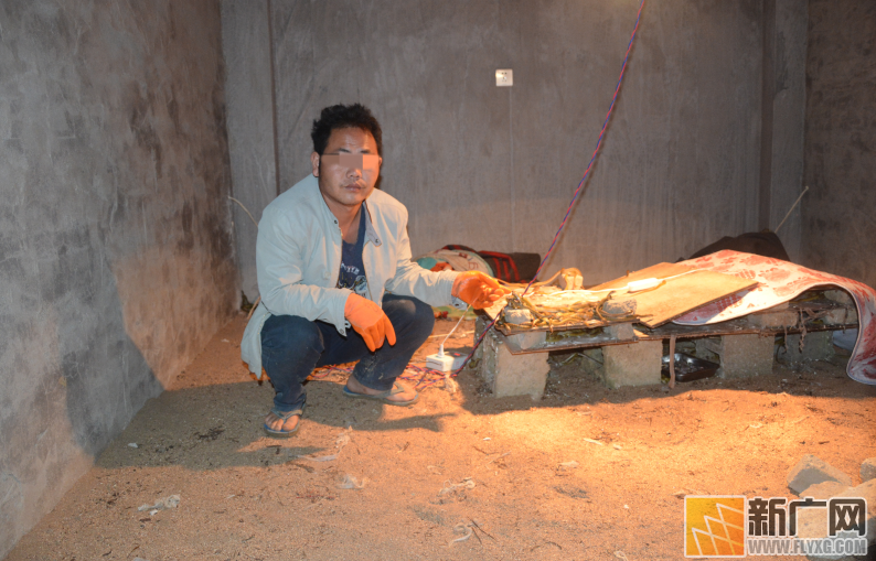 云南金平：一村民非法孵化养殖百余条蛇终被查处