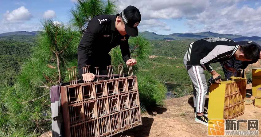 建水森警为候鸟迁徙保驾护航