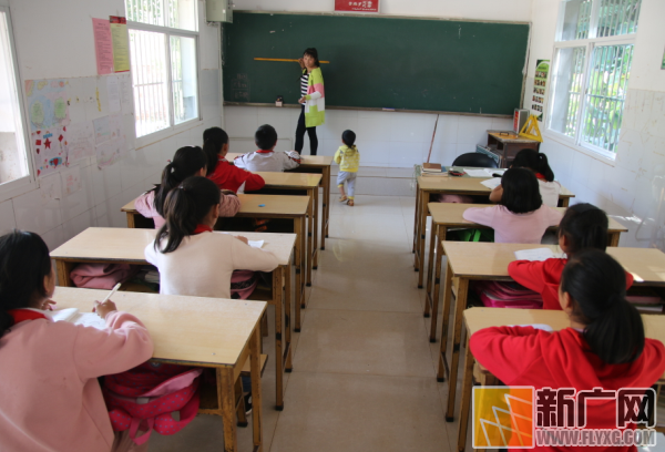 半棵杏树就能庇荫全校师生 半棵杏树就能庇荫全校师生