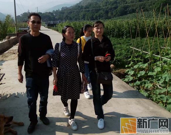 红河县农科局领导深入迤萨镇勐龙村实地查看冬早蔬菜种植情况