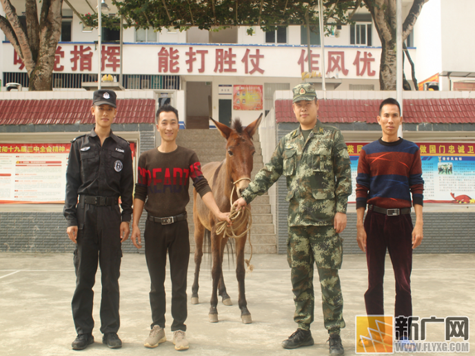 云南勐桥边防派出所民警帮助辖区群众找回被盗骡子获好评