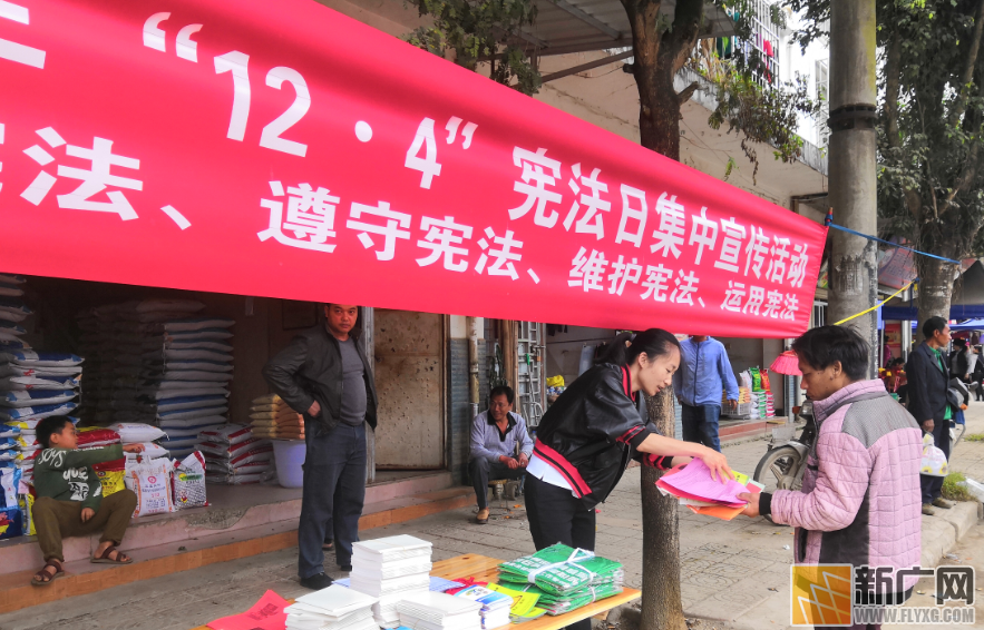 绿春大黑山镇开展宪法宣传日活动