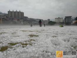 冰雹袭击金平县城20分钟，大的直径约5厘米