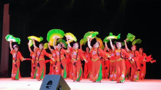 个旧荞麦花受邀玉溪“春之韵”精彩绽放“月光剧场”和“聂耳音乐广场”