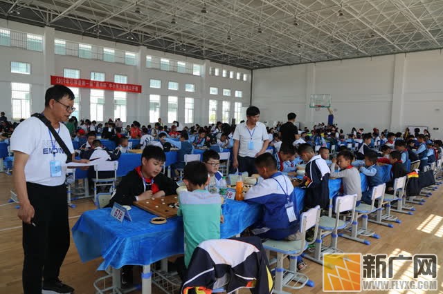 石屏县举行第一届“嘉伟杯”中小学生围棋公开赛