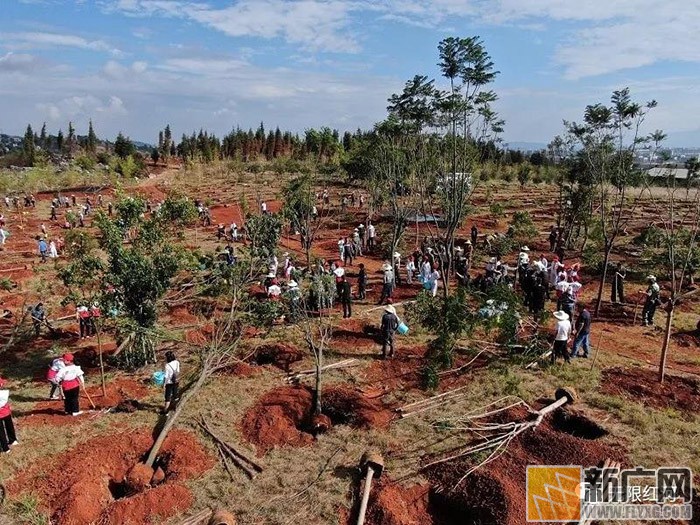 州林业和草原局：争做生态文明建设排头兵