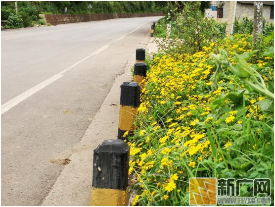 “不忘初心 牢记使命”泸西公路分局蒙铁线党员示范路建设初显成效