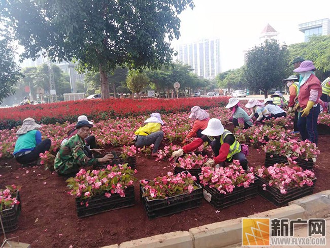 开远市大庄乡：小小服务站 照亮老寨搬迁群众致富路