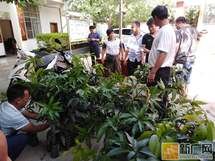 红河县林草局机关支部开展进社区服务活动 红河县林草局机关支部开展进社区服务活动