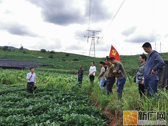 开远市：关怀厚爱驻村工作队员 激活脱贫攻坚活力