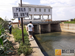 红河州生态环境蒙自分局巡查向水里乱丢死畜死禽行为