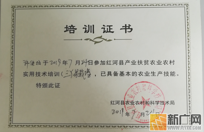 红河县农科局创新培训模式 推动科技扶贫