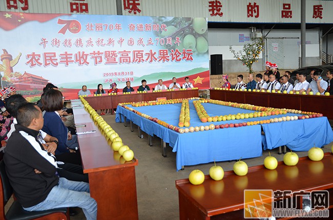 泸西午街铺镇举办“壮丽70年·奋斗新时代”高原水果论坛活动