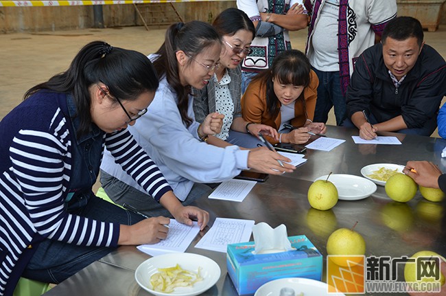 泸西午街铺镇举办“壮丽70年·奋斗新时代”高原水果论坛活动