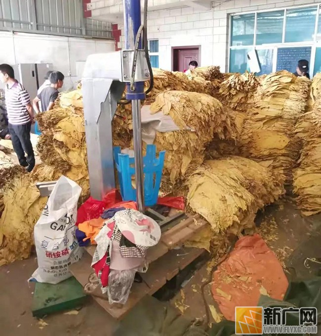 建水经侦大队捣毁2个非法收购烟叶窝点涉案价值63.05万元 建水经侦大队捣毁2个非法收购烟叶窝点涉案价值63.05万元