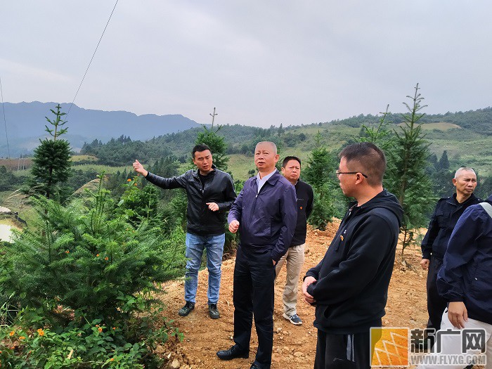 蒙自:市纪委监委坚持在一线开展主题教育 蒙自:市纪委监委坚持在一线开展主题教育