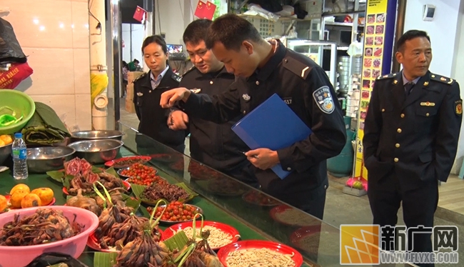 金平：森警查获野生鸟类等野生动物死体397只