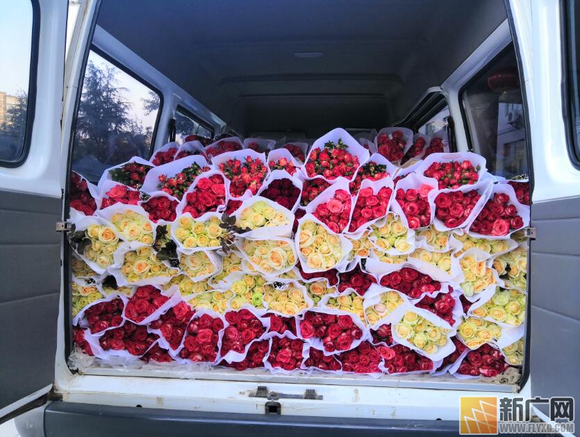 蒙自：7000朵玫瑰花送给战“疫”中最美的天使