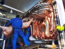 石屏县向湖北省孝感市捐赠15吨冷鲜猪肉