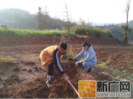 泸西午街铺镇林树村“爱心树种植”活动在进行