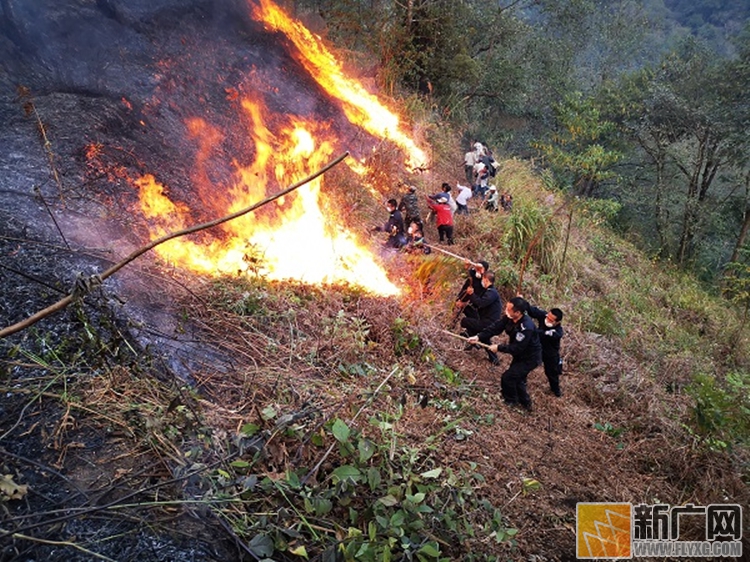 金平普角边境派出所成功扑灭一起山林大火