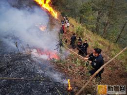 金平普角边境派出所成功扑灭一起山林大火