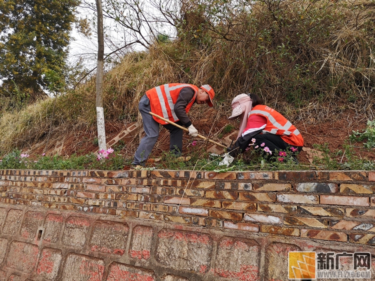 泸西公路分局党员示范路创建活动进行时