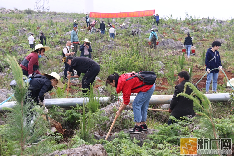 蒙自：把“劳模精神”深植在“五一”大地上