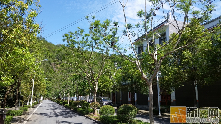 蒙自水田：建“森林小镇”造“林果乡村”