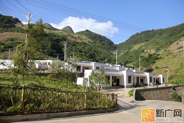 蒙自水田：建“森林小镇”造“林果乡村”