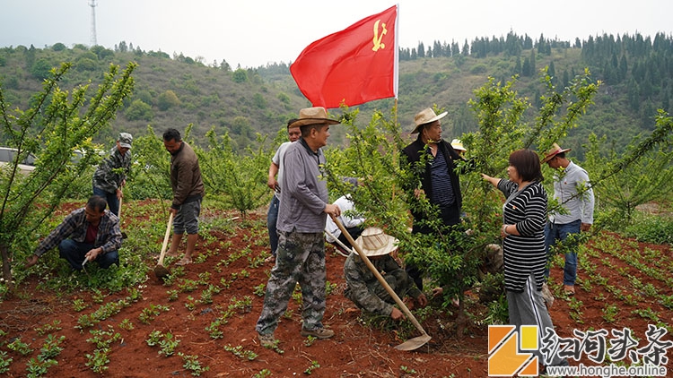 开远：扬起乡村治理的“党建龙头”