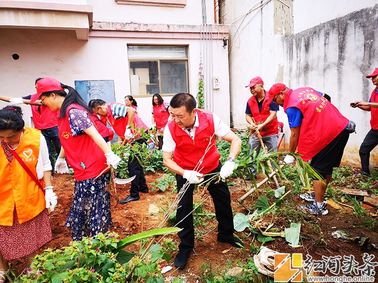 红河州气象局开展对包保小区毁绿种菜问题的专项整治