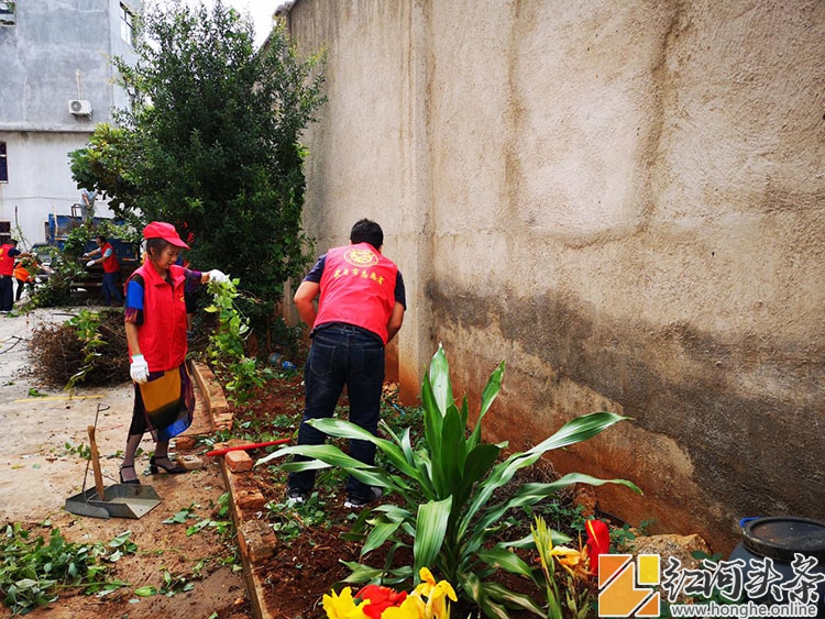 红河州气象局开展对包保小区毁绿种菜问题的专项整治
