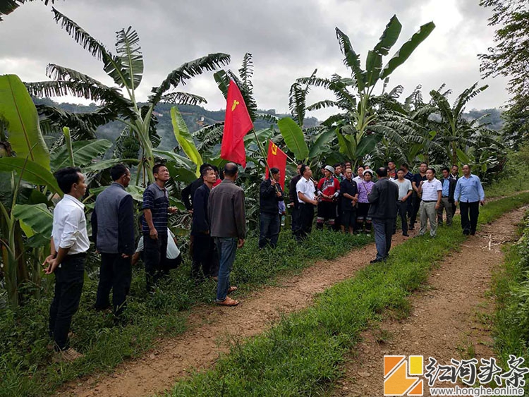 绿春：戈奎村党总支开展庆祝中国共产党成立99周年纪念活动