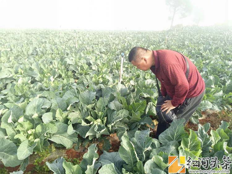 开远：六年坚守  情系东山的“老山哥”