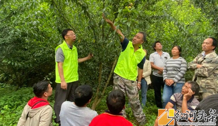 屏边：科普大篷车精准助脱贫