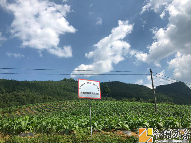 屏边和平镇：扶贫扶志又扶智 合力攻坚拔穷根