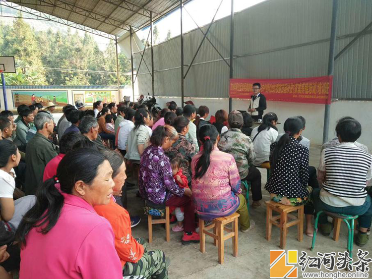 屏边和平镇：扶贫扶志又扶智 合力攻坚拔穷根