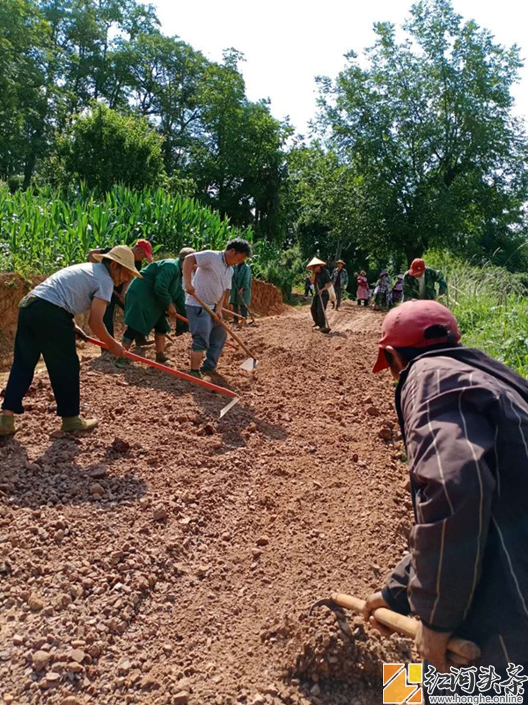 午街铺镇林树村发动党员干部群众开挖修缮田间道路12公里