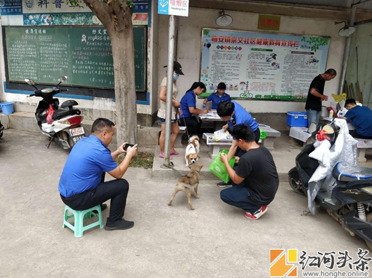 集中开展犬只年检防疫 助力美丽县城建设