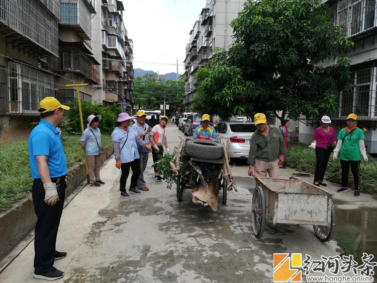 滇南地质大队：提升“园林式小区”环境卫生质量助力开远市“国家卫生城市”复审  