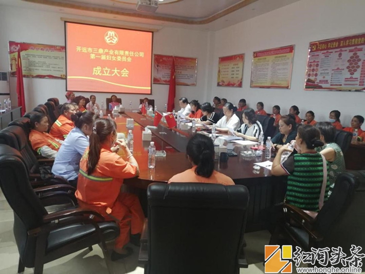 开远市三鼎产业有限责任公司召开妇委会成立大会
