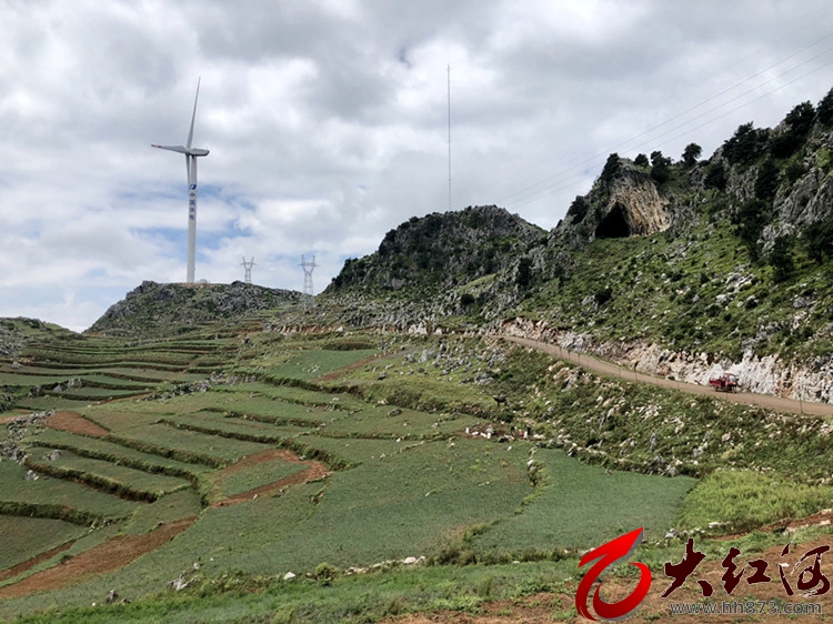 云南开远：山地种出“玉珍珠  ”“非遗”带动促增收
