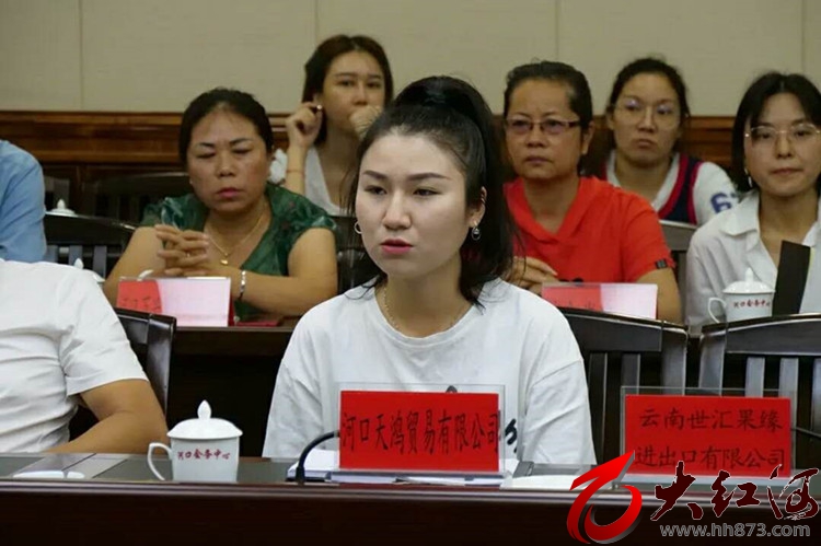落实“六稳”“六保”助企纾困解难——河口县召开企业家座谈会