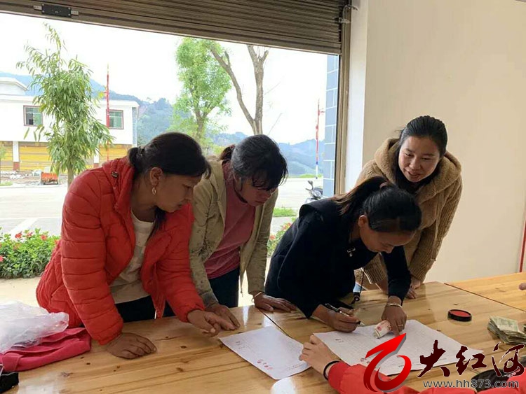 自由贸易试验区红河片区：企业发展与民族团结之花共同绽放
